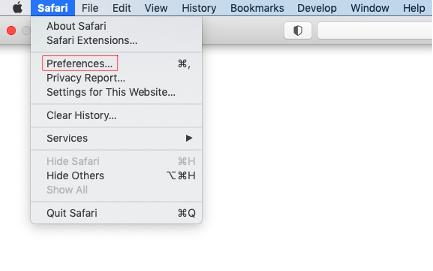 Preferences in Safari Preferences in Safari