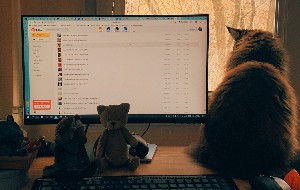 What Is Monkey App What Is Monkey App