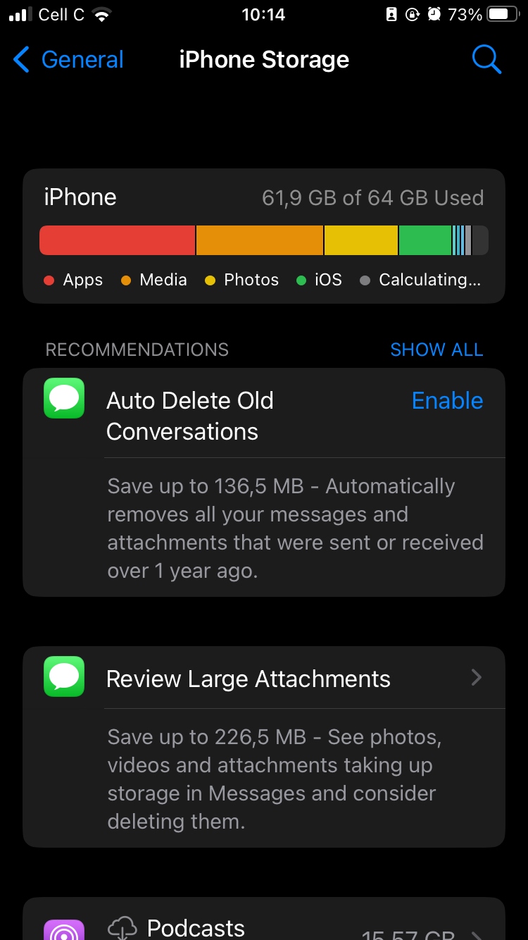 a screenshot of iPhone storage page in general settings showing storage categories and recommendations a screenshot of iPhone storage page in general settings showing storage categories and recommendations