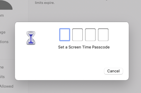Set a Screen Time Passcode Set a Screen Time Passcode