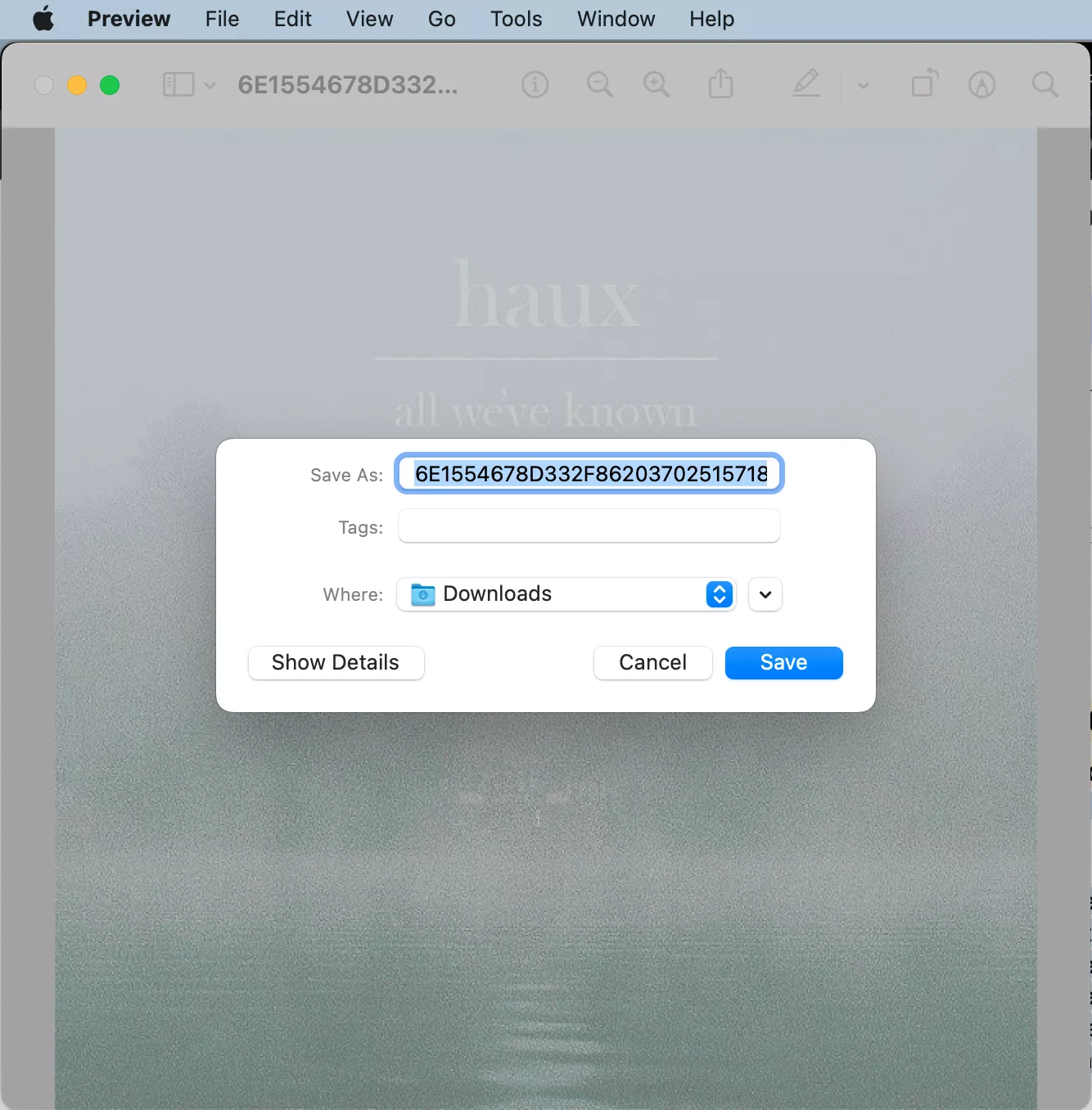 Preview shows the save window when exporting to PDF. Give your file a name, then click Save.