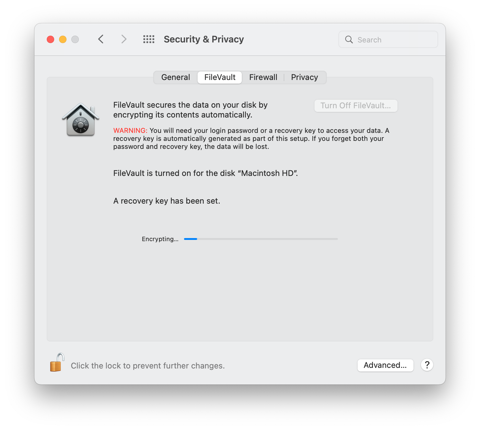 FileVault shows that it is encrypting all files on the Mac's primary drive. FileVault shows that it is encrypting all files on the Mac's primary drive.