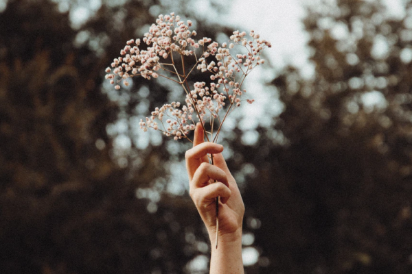 How to Delete Personal Information from the Internet