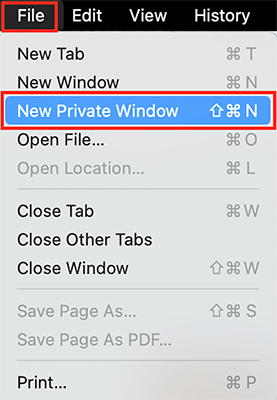 New incognito window in Opera New incognito window in Opera