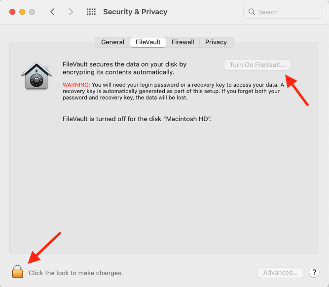 The macOS Security & Privacy window showing how to turn on FileVault The macOS Security & Privacy window showing how to turn on FileVault