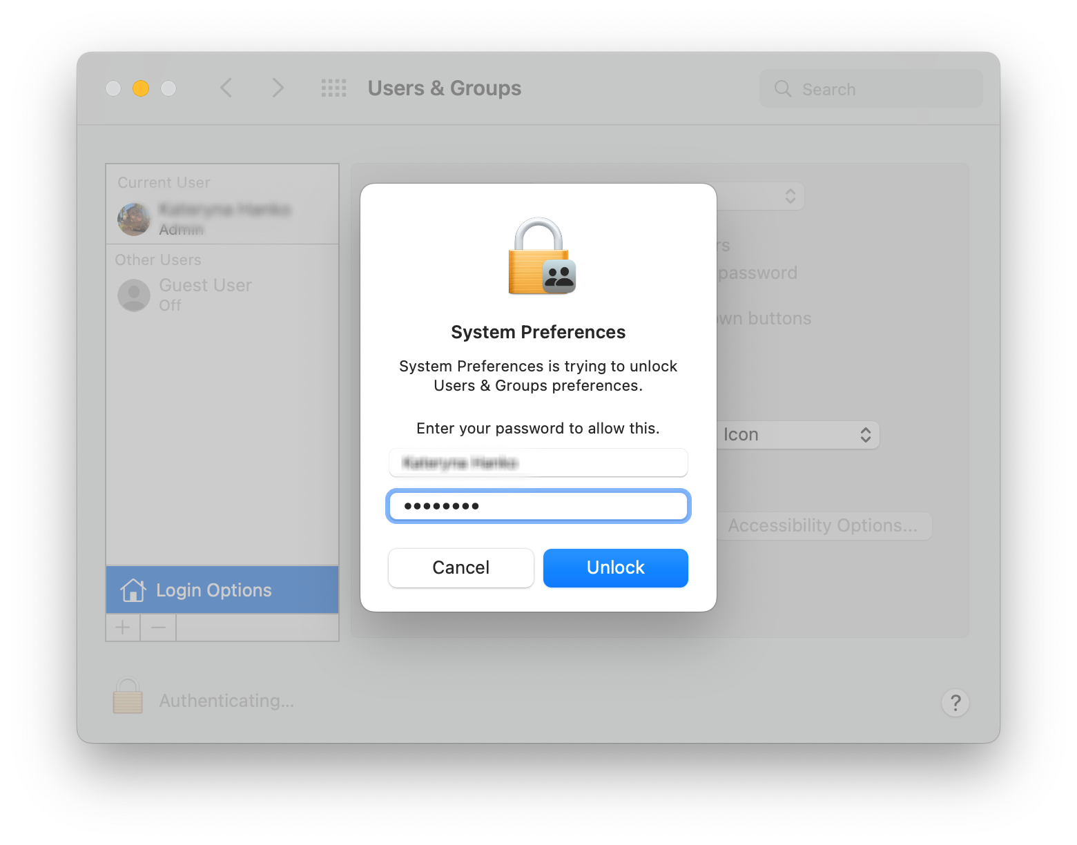 Unlock System Preferences on Mac Unlock System Preferences on Mac