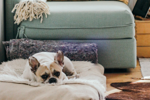 How to Secure Your Wi-Fi Network at Home and Block Wi-Fi Hackers How to Secure Your Wi-Fi Network at Home and Block Wi-Fi Hackers