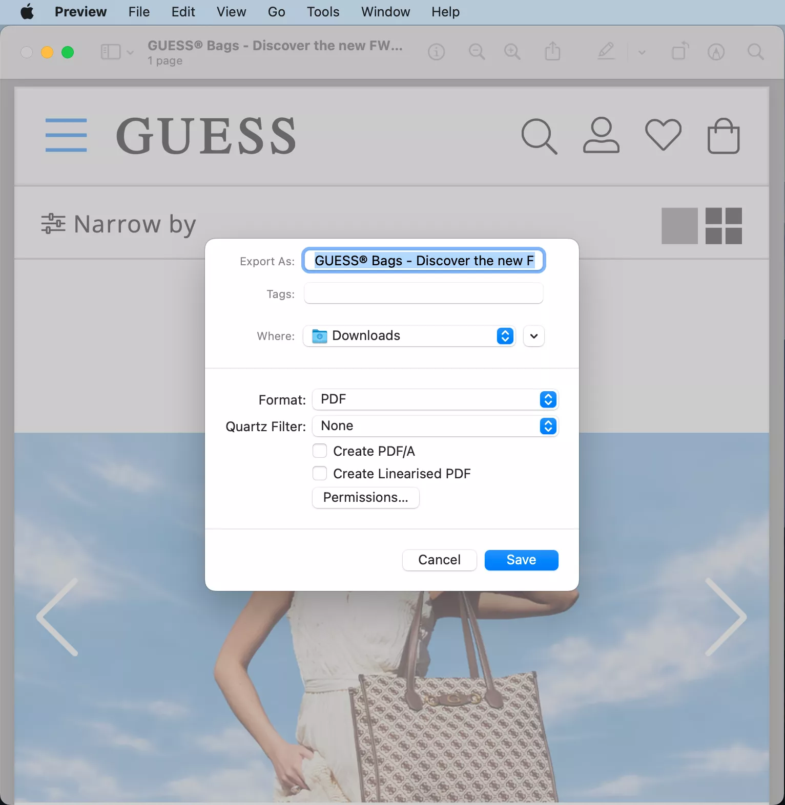 Preview shows the option to add a password to an exported document. Click Permissions to continue.