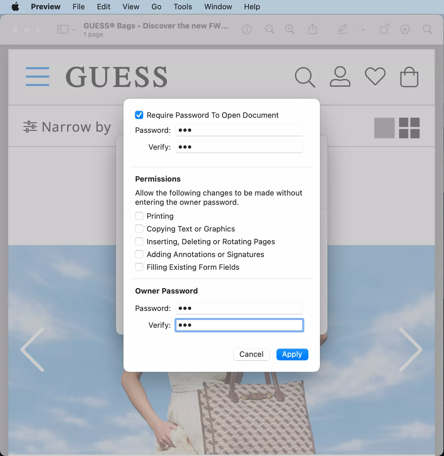 Preview shows the option to add a password when exporting a document. Create and verify your password, then click Apply.
