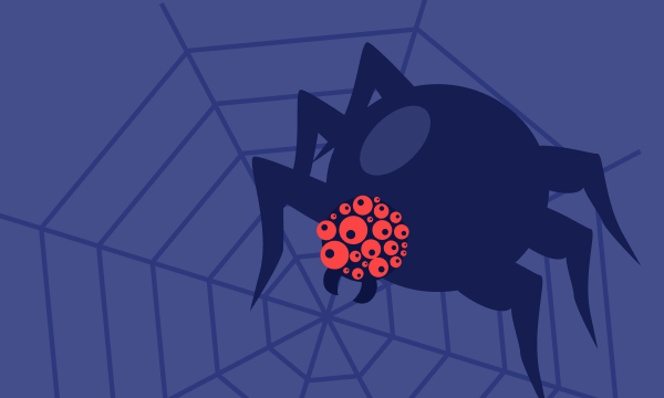 What is the Dark Web and How to Legally Access it?