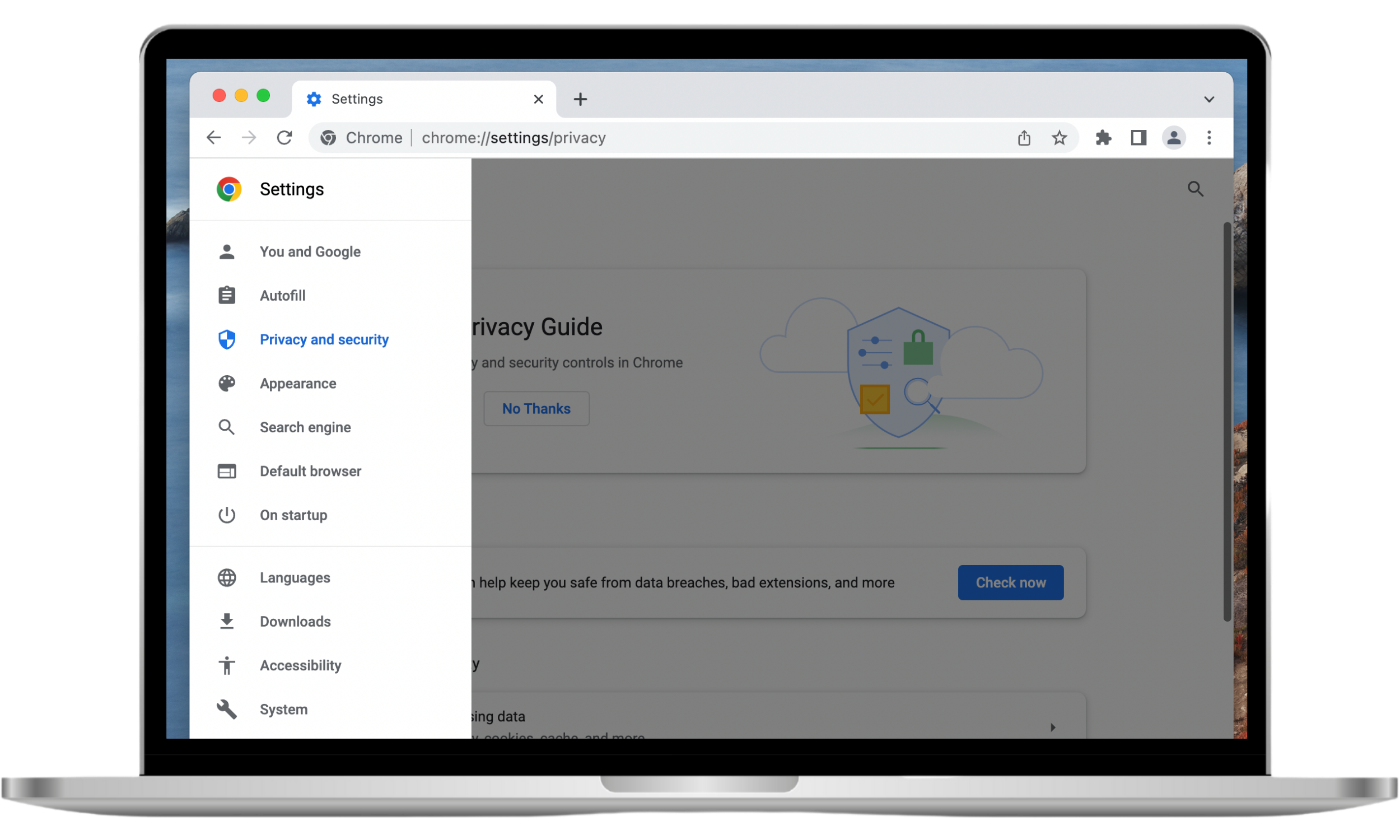 The Google Chrome Settings page shows the Privacy and Security option selected on the left menu bar.